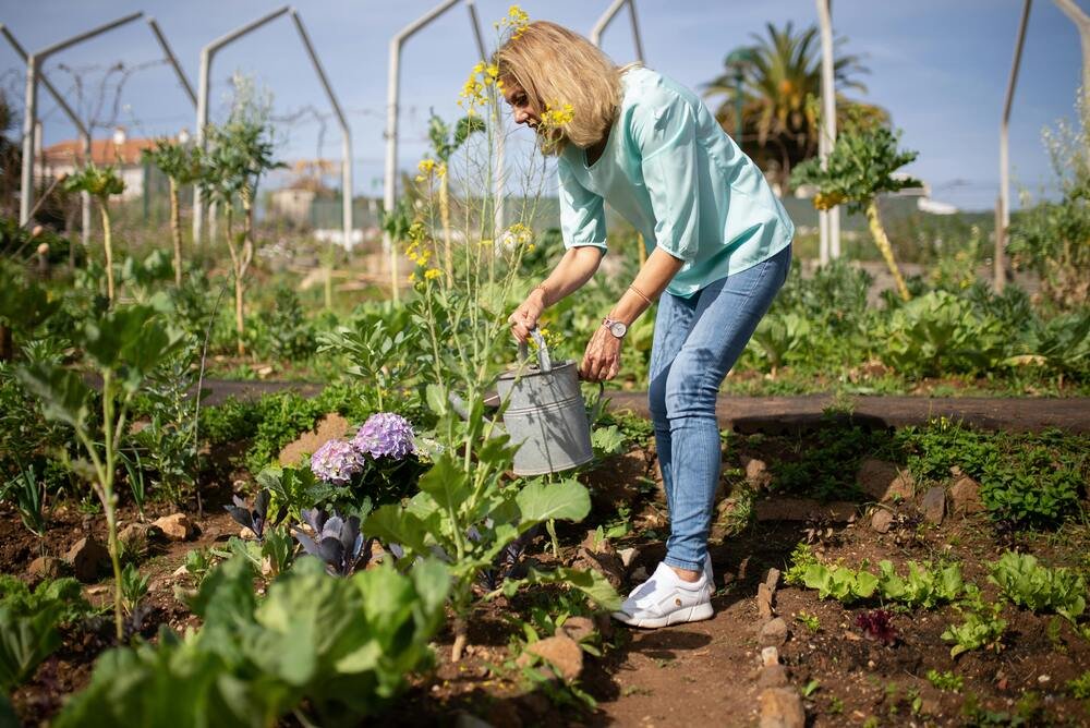 Serviço de jardinagem no Brasil para casas ou condomínios como renda extra